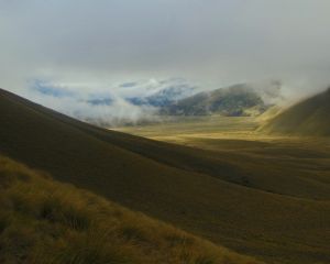 Looking into the Dunstan Creek